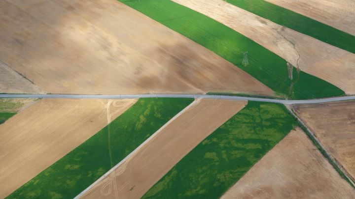  Lined up with pretty fields