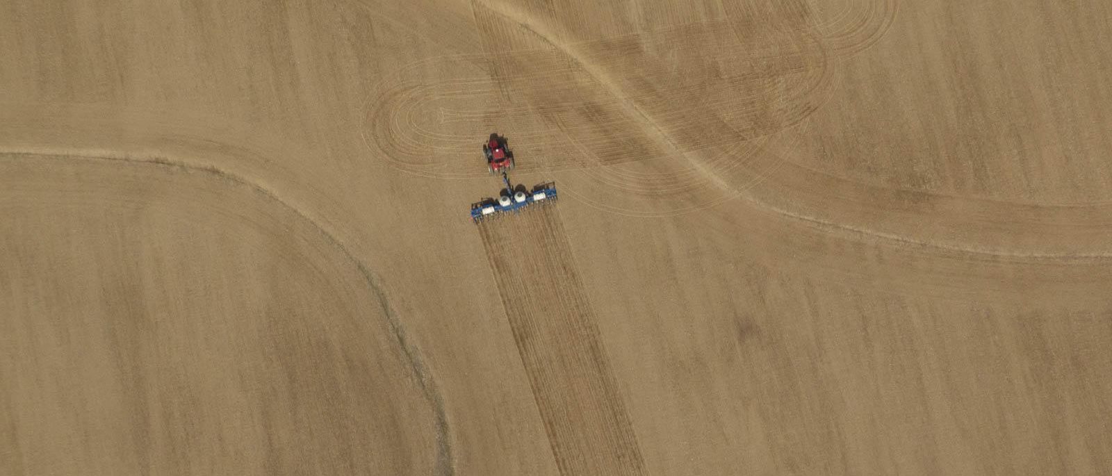 Fields, Fields...