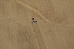 Fields, Fields...