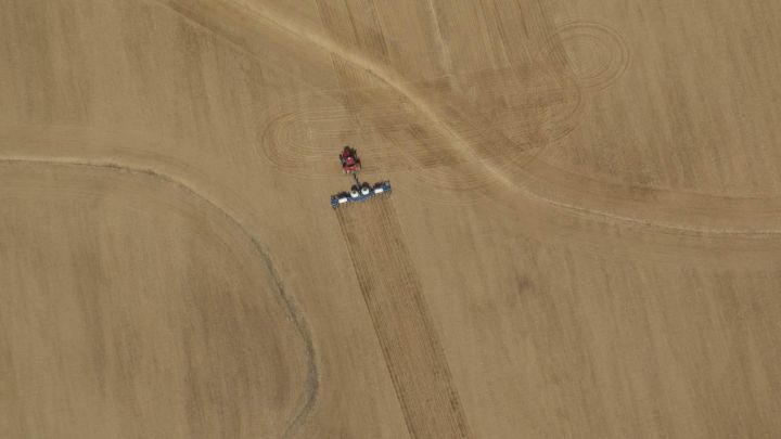 Fields, Fields...